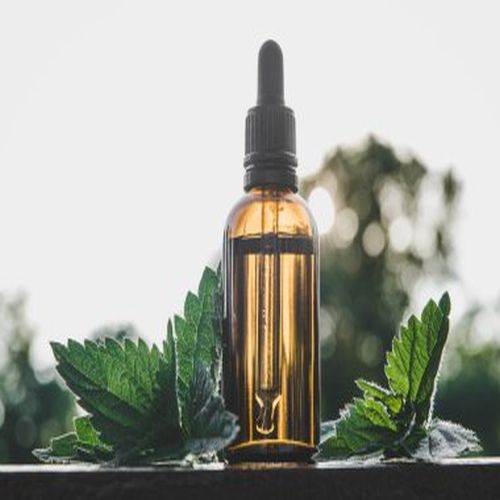 Discovering Superiority: The Top-Rated Delta 8 Tincture Selections